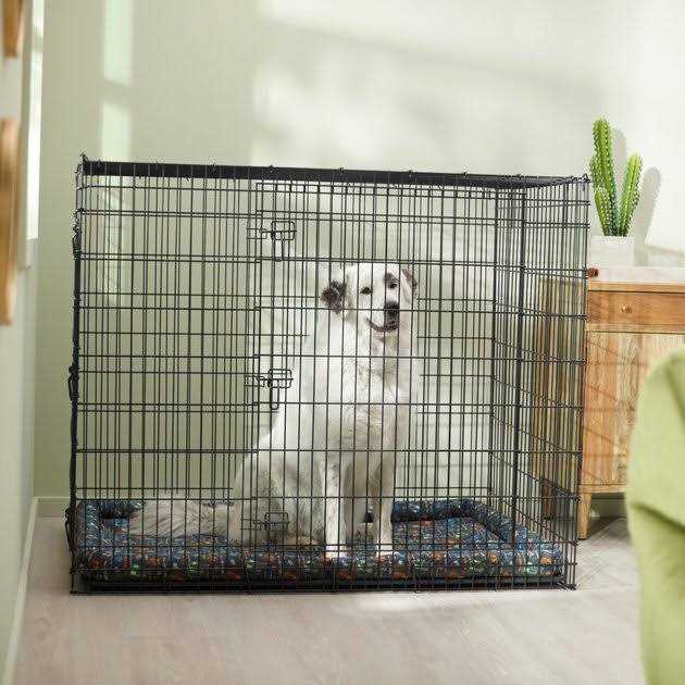 Dog Crate Mat V3658