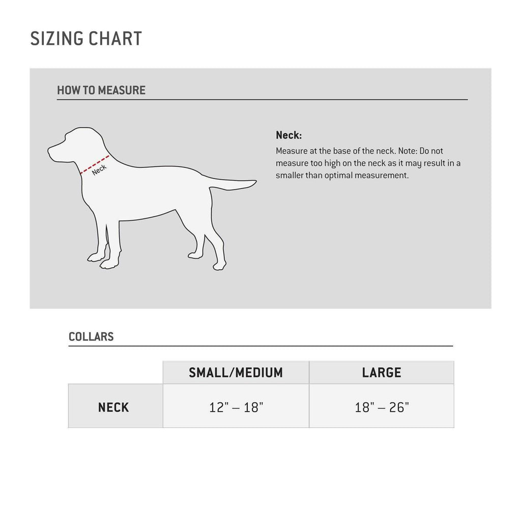 Nylon Dog Collar Q226888