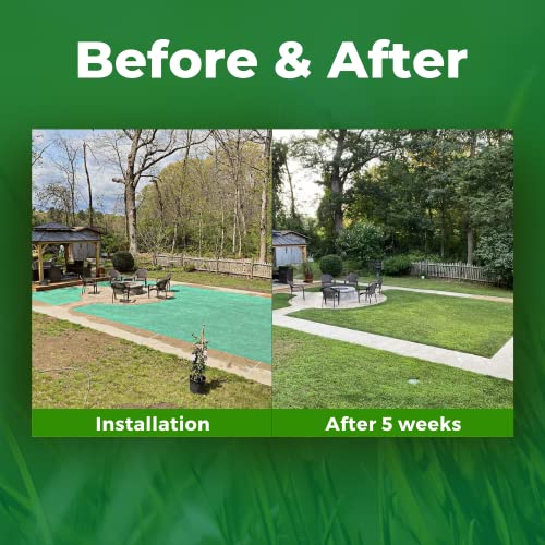 Biodegradable Grass Seed 50 SQFT Bermuda Rye T953