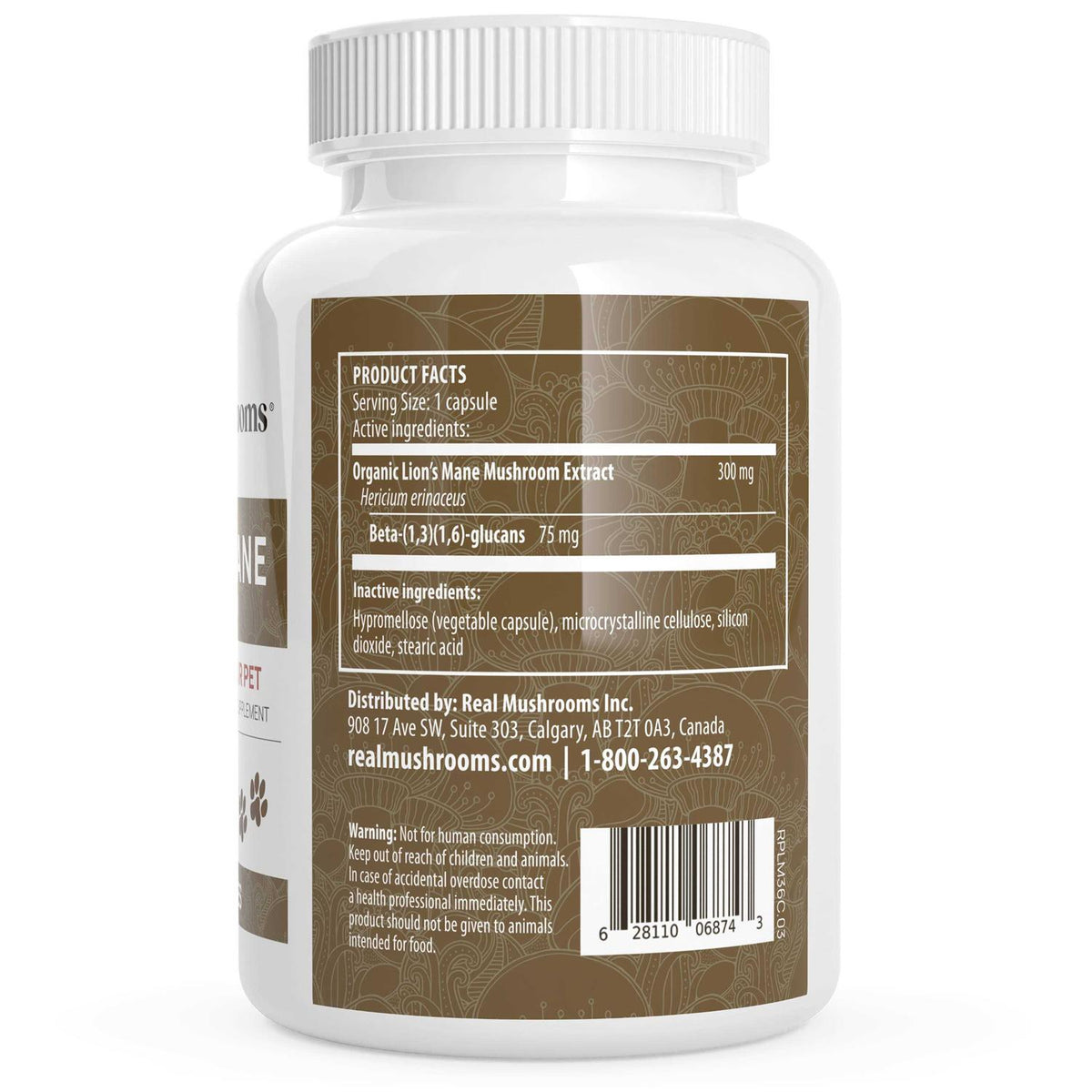 Lion’s Mane R1561
