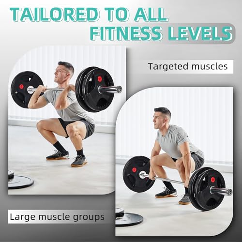 Cast Iron Weight Plates with Barbell Bar and Locks, 100 Pounds Set L92790