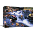 Autumn Leaves in Little River Art Print N31173
