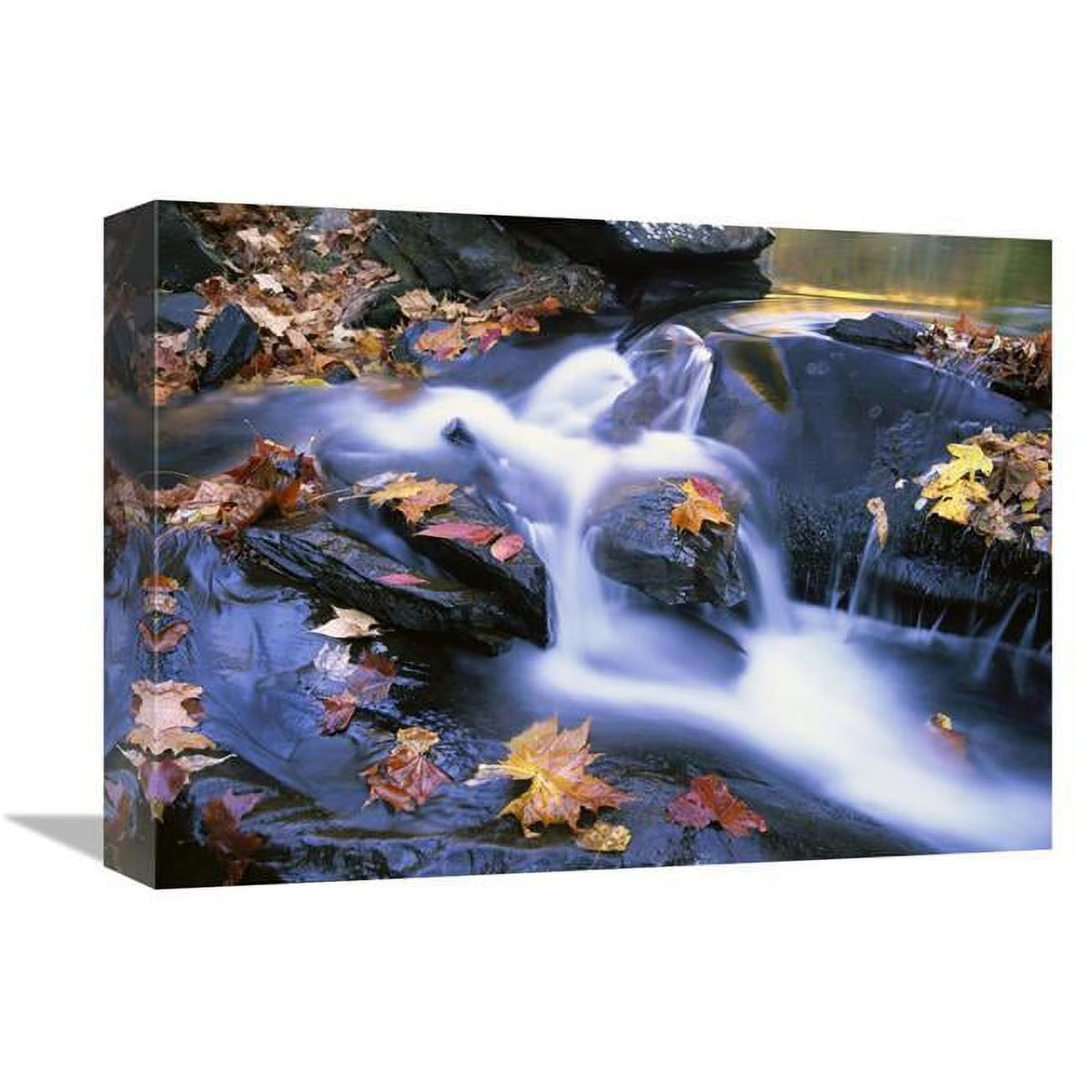 Autumn Leaves in Little River Art Print N31173
